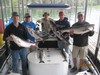 (08/28/2017) - Nice Striped Bass